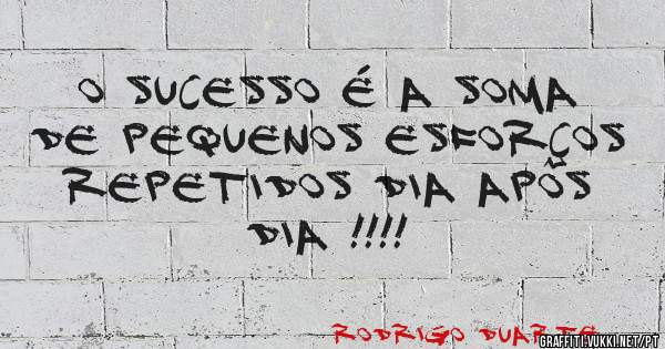 O SUCESSO É A SOMA DE PEQUENOS ESFORÇOS REPETIDOS DIA APÔS DIA !!!!