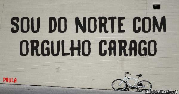 Sou do norte com orgulho carago 
