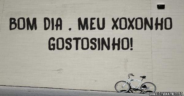 BOM DIA , MEU XOXONHO GOSTOSINHO! 