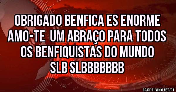 obrigado Benfica es enorme amo-te  um abraço para todos os benfiquistas do mundo slb slbbbbbbb
