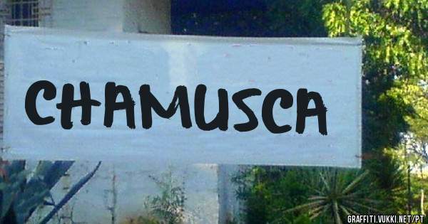  CHAMUSCA