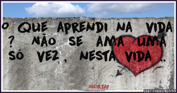 O  que  aprendi  na   vida  ?    Não   se   ama   uma   só   vez ,   nesta  vida  ..