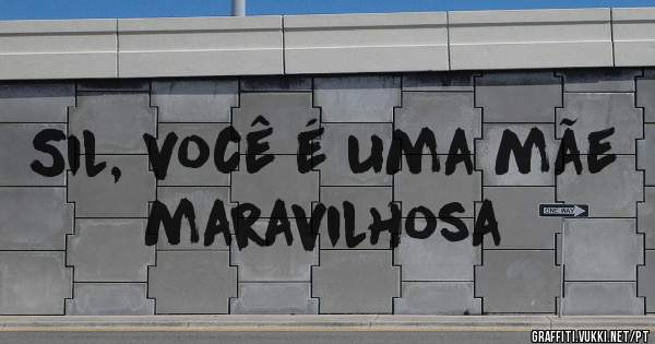 Sil, você é uma mãe maravilhosa 
