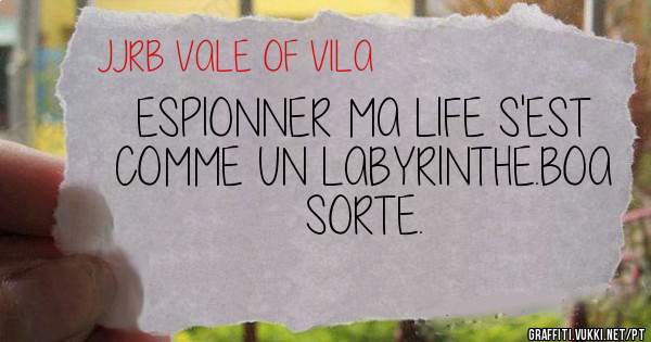 ESPIONNER MA LIFE S'EST COMME UN LABYRINTHE.BOA SORTE.