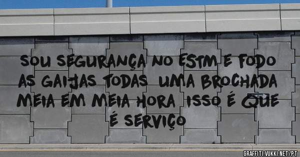 sou segurança no ESTM e fodo as gaijas todas  uma brochada meia em meia hora  isso é que é serviço