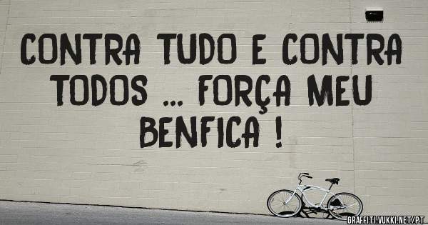 CONTRA TUDO E CONTRA TODOS ... FORÇA MEU BENFICA !