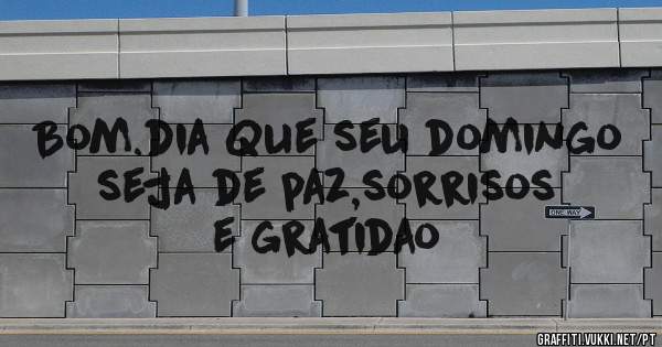 Bom.dia Que seu domingo seja de paz,sorrisos e gratidao