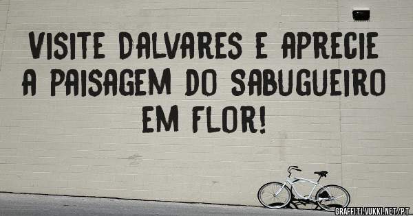 Visite Dalvares e aprecie a paisagem do Sabugueiro em Flor!