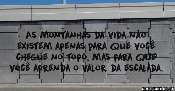 As montanhas da vida não existem apenas para que você chegue no topo, mas para que você aprenda o valor da escalada.

    
