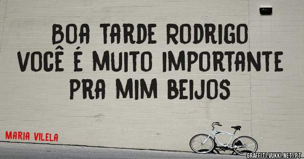 Boa tarde Rodrigo você é muito importante pra mim beijos 