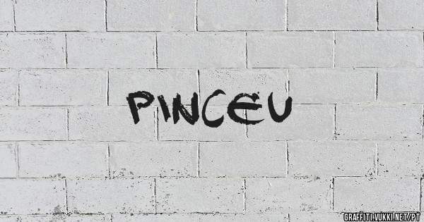 pinceu
