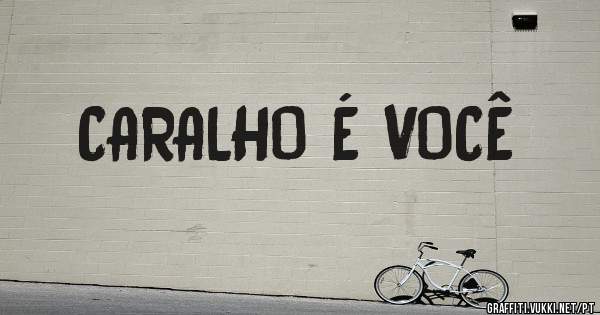 CARALHO É VOCÊ 