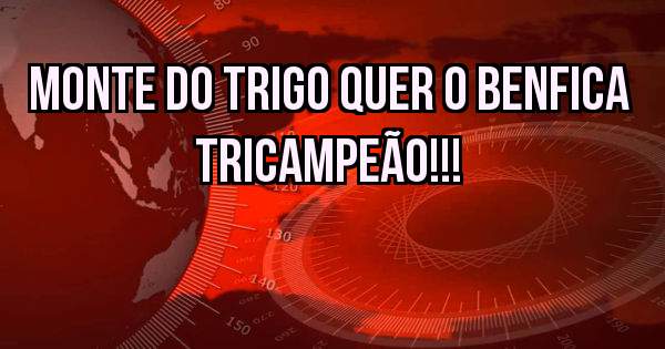 MONTE DO TRIGO QUER O BENFICA TRICAMPEÃO!!! 