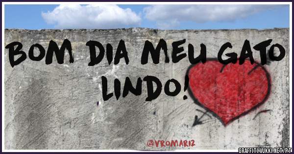 Bom dia meu gato lindo!