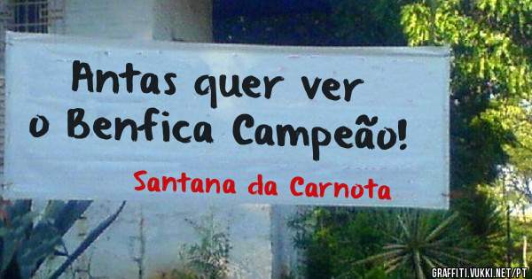 Antas quer ver o Benfica Campeão!