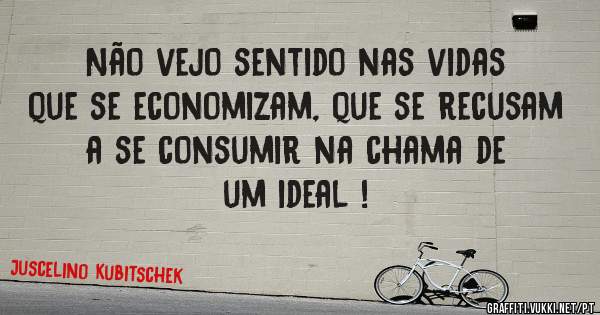 Não vejo sentido nas vidas que se economizam, que se recusam a se consumir na chama de um ideal !