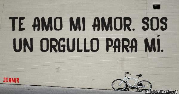 TE AMO MI AMOR. SOS UN ORGULLO PARA MÍ.
