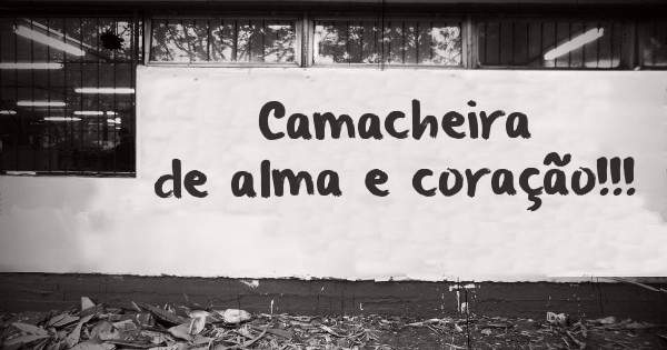 Camacheira de alma e coração!!!