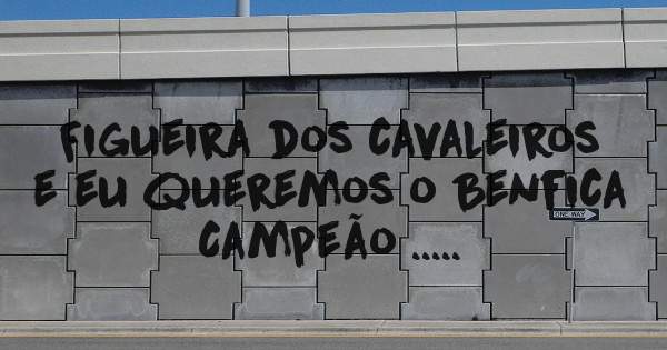 Figueira dos cavaleiros e eu queremos o Benfica Campeão .....