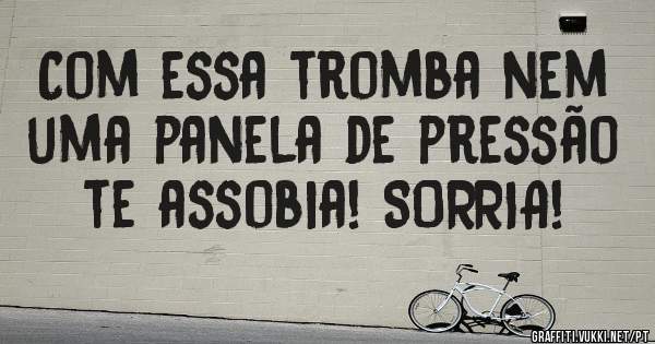 Com essa tromba nem uma panela de pressão te assobia! SORRIA!