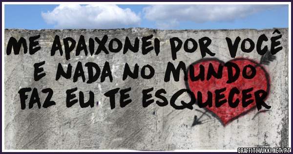 Me apaixonei por você e nada no mundo faz eu te esquecer