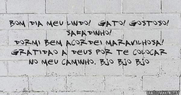 Bom dia meu lindo!  Gato! Gostoso! Safadinho! 
Dormi bem acordei maravilhosa! Gratidao a Deus por te colocar no meu caminho. Bjo bjo bjo
 