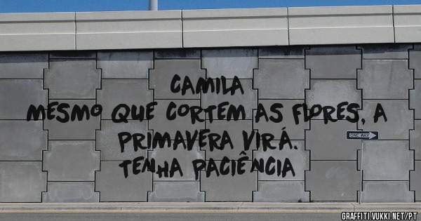 CAMILA
                                                     
  MESMO QUE CORTEM AS FLORES, A PRIMAVERA VIRÁ. 
TENHA PACIÊNCIA