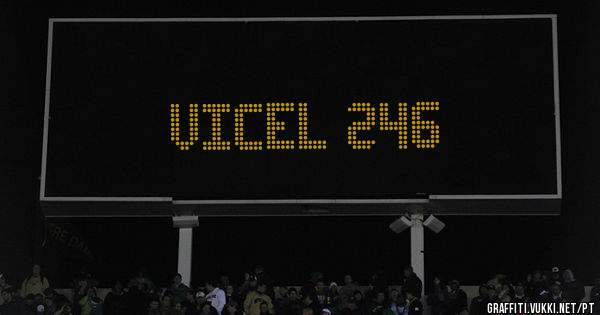 Vicel 246
