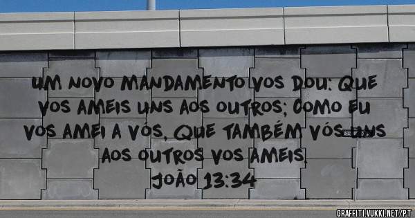 Um novo mandamento vos dou: Que vos ameis uns aos outros; como eu vos amei a vós, que também vós uns aos outros vos ameis.

João 13:34