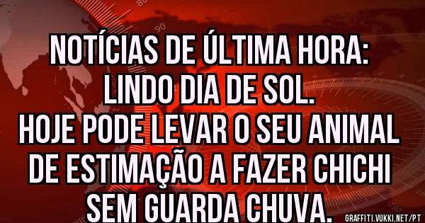 Notícias de última hora:
Lindo dia de sol.
Hoje pode levar o seu animal de estimação a fazer chichi sem guarda chuva.