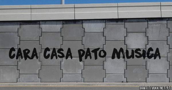 cara casa pato musica 