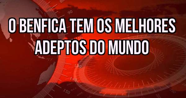 O Benfica tem os melhores adeptos do mundo