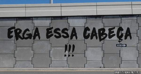 Erga essa cabeça !!!