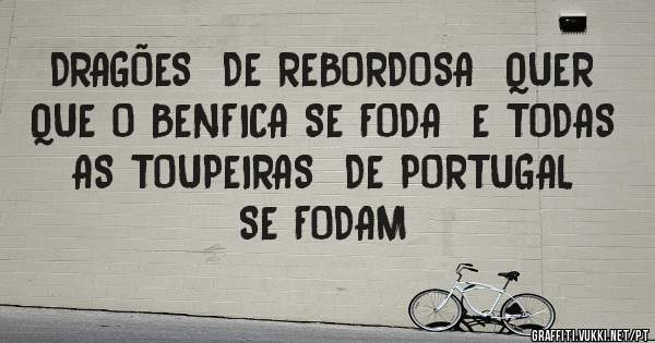 DRAGÕES  DE REBORDOSA  QUER QUE O BENFICA SE FODA  E TODAS AS TOUPEIRAS  DE PORTUGAL  SE FODAM
