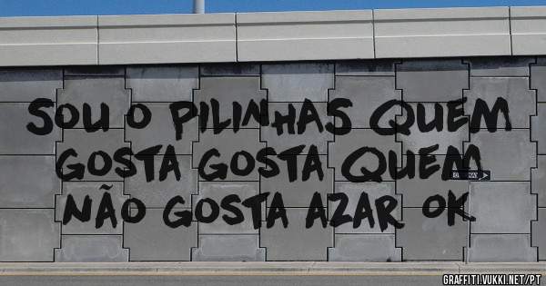 Sou o PILINHAS quem gosta gosta quem não gosta azar OK
