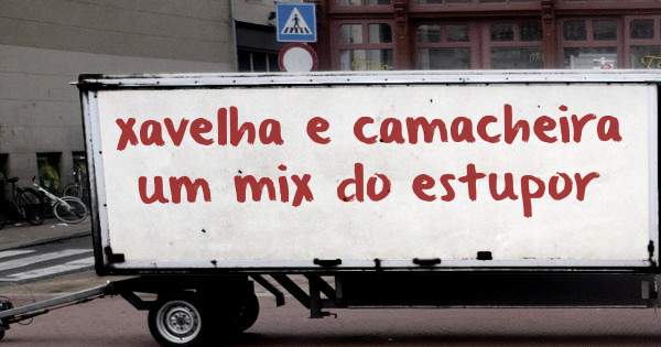 xavelha e camacheira um mix do estupor 