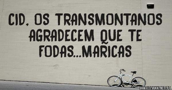 CID, OS TRANSMONTANOS AGRADECEM QUE TE FODAS...MARICAS