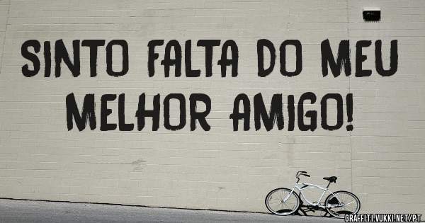 SINTO FALTA DO MEU MELHOR AMIGO! 