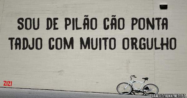 Sou de Pilão cão ponta tadjo com muito orgulho