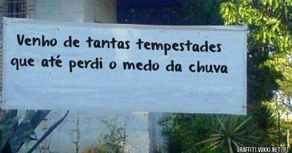 Venho de tantas tempestades que até perdi o medo da chuva