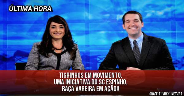 Tigrinhos em Movimento.
Uma iniciativa do SC Espinho.
Raça Vareira em ação!!