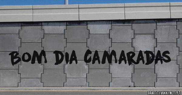 Bom dia Camaradas 
