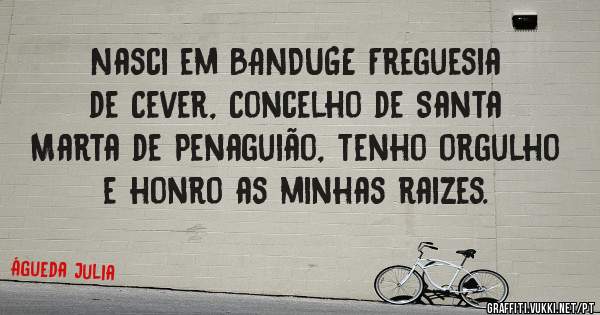 Nasci em BANDUGE Freguesia de Cever, Concelho de Santa Marta de Penaguião, tenho orgulho e honro as minhas raizes.