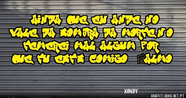 '' ainda que eu ande no vale da sombra da morte..não temerei mal algum por que tu estás comigo...'' Salmo 23/4