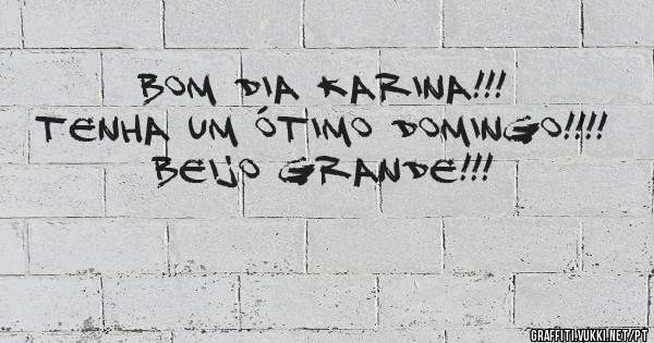 BOM DIA KARINA!!! 
TENHA UM ÓTIMO DOMINGO!!!! 
BEIJO GRANDE!!!