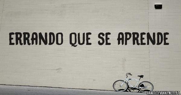 errando que se aprende
