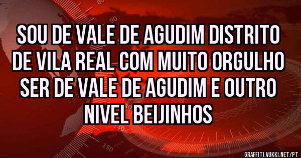 Sou de Vale de Agudim distrito de vila real com muito orgulho ser de Vale de agudim e outro nivel beijinhos