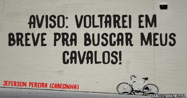 Aviso: voltarei em breve pra buscar meus cavalos!