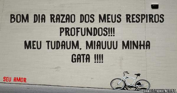 Bom dia razao dos meus respiros profundos!!!
Meu tudaum, miauuu minha gata !!!!