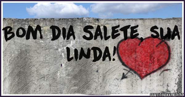 Bom dia Salete, sua linda!